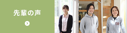 先輩の声 先輩の声